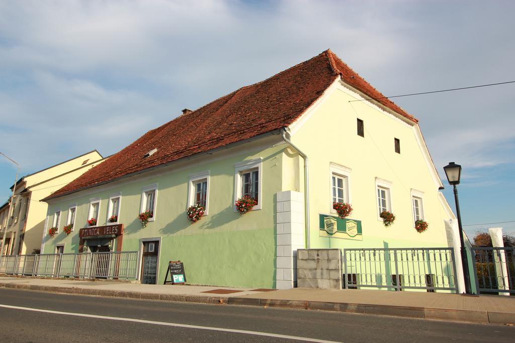 Guesthouse Veles 斯洛文斯卡比斯特里卡 外观 照片